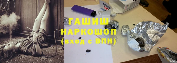 индика Белокуриха