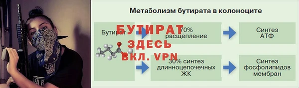 индика Белокуриха