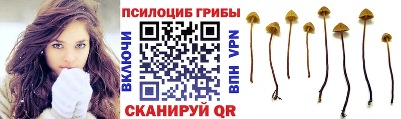 где купить наркотик Североуральск Галлюциногенные грибы Cubensis