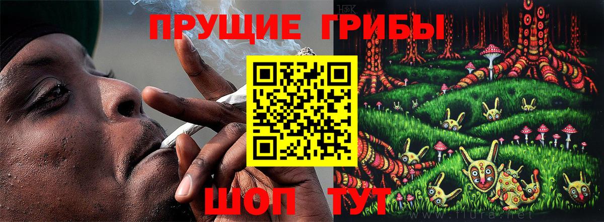 Североуральск  Галлюциногенные грибы GOLDEN TEACHER  Галлюциногенные грибы мицелий  Вход с VPN 
