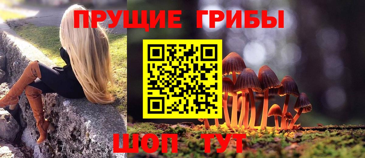 Галлюциногенные грибы Psilocybe Североуральск